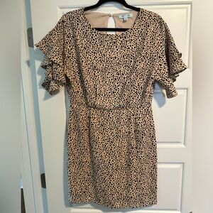 Women’s Leopard Print Mini Dress